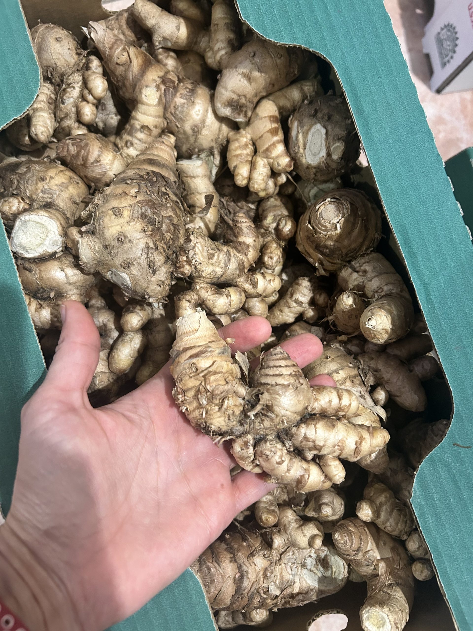 {{brizy_dc_image_alt imageSrc=